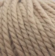 10022 Cammello Agra.jpg (19