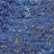 Parma Violet 306.jpg (39
