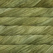 Lettuce 37