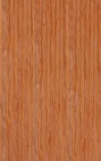 Orange 09