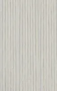 White 25